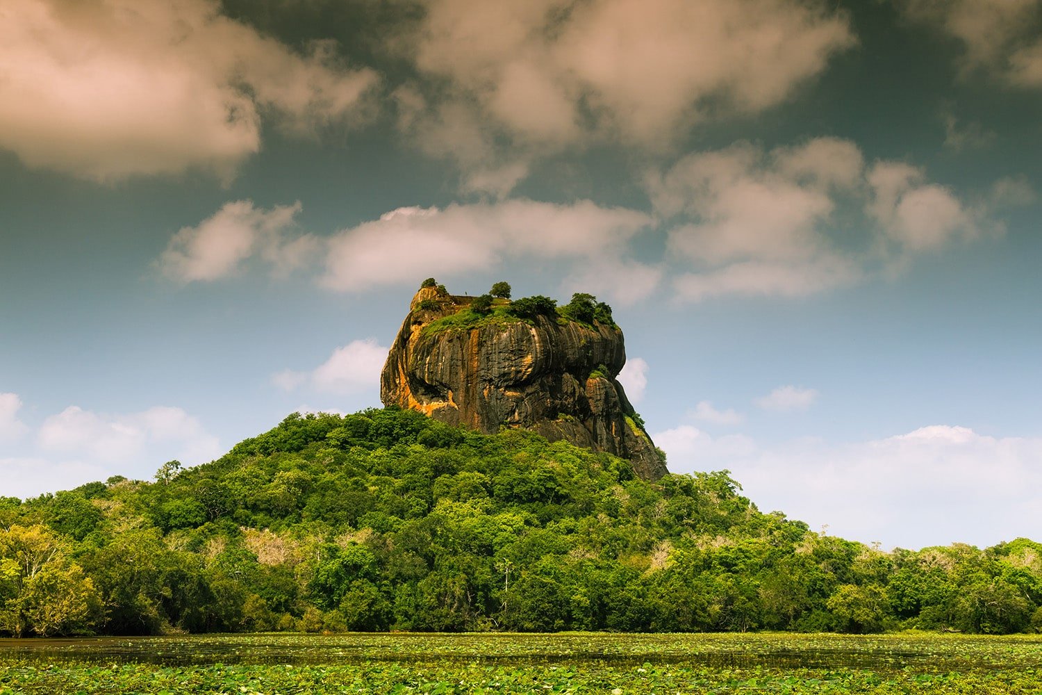 Sri Lanka Wildlife and Culture
